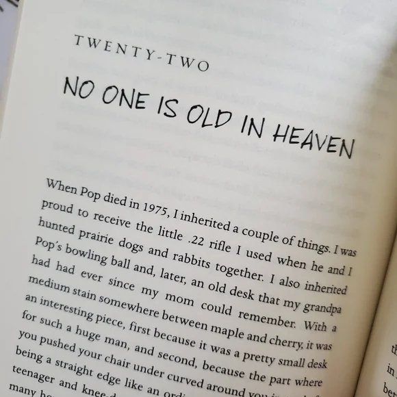 Heaven Is For Real  Book By Todd BURPO - Picture 7 of 11